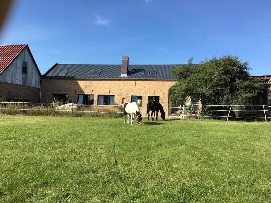 Ferienwohnung Zossen Gaestehaus Eksteriør bilde